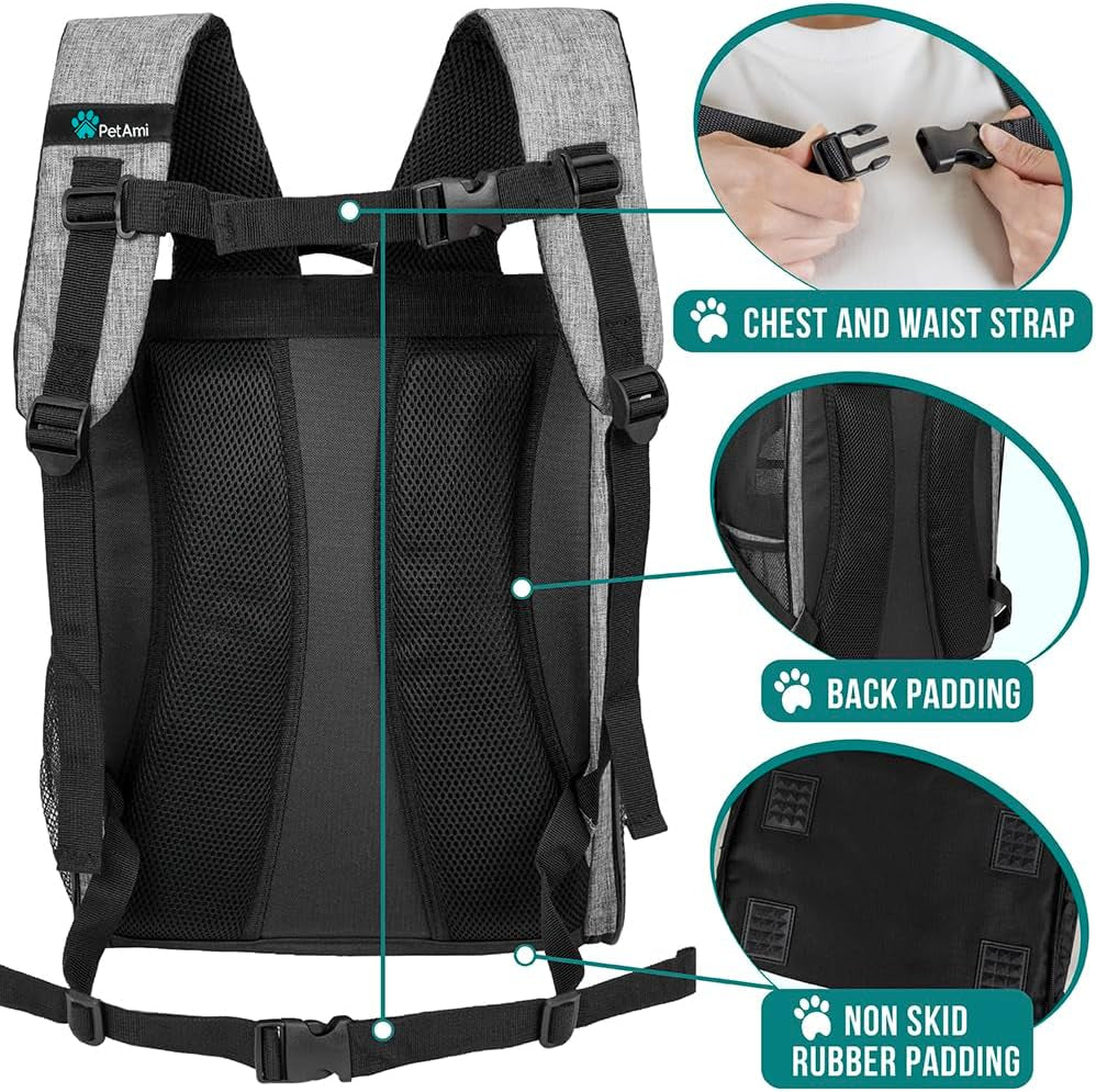 PawPulse travel carrier holds pets up to 18 pounds with safety leash inside