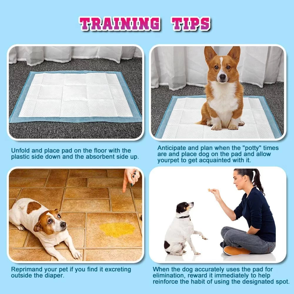 PawPulse training pads built-in attractant teaches puppies where to go