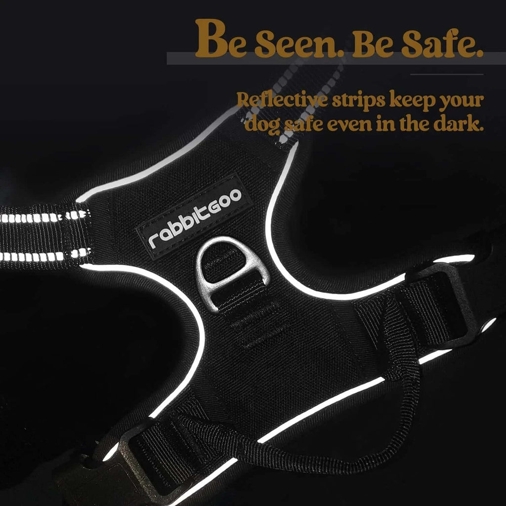 PawPulse anti-pull harness ergonomic chest design redirects pressure away from the throat