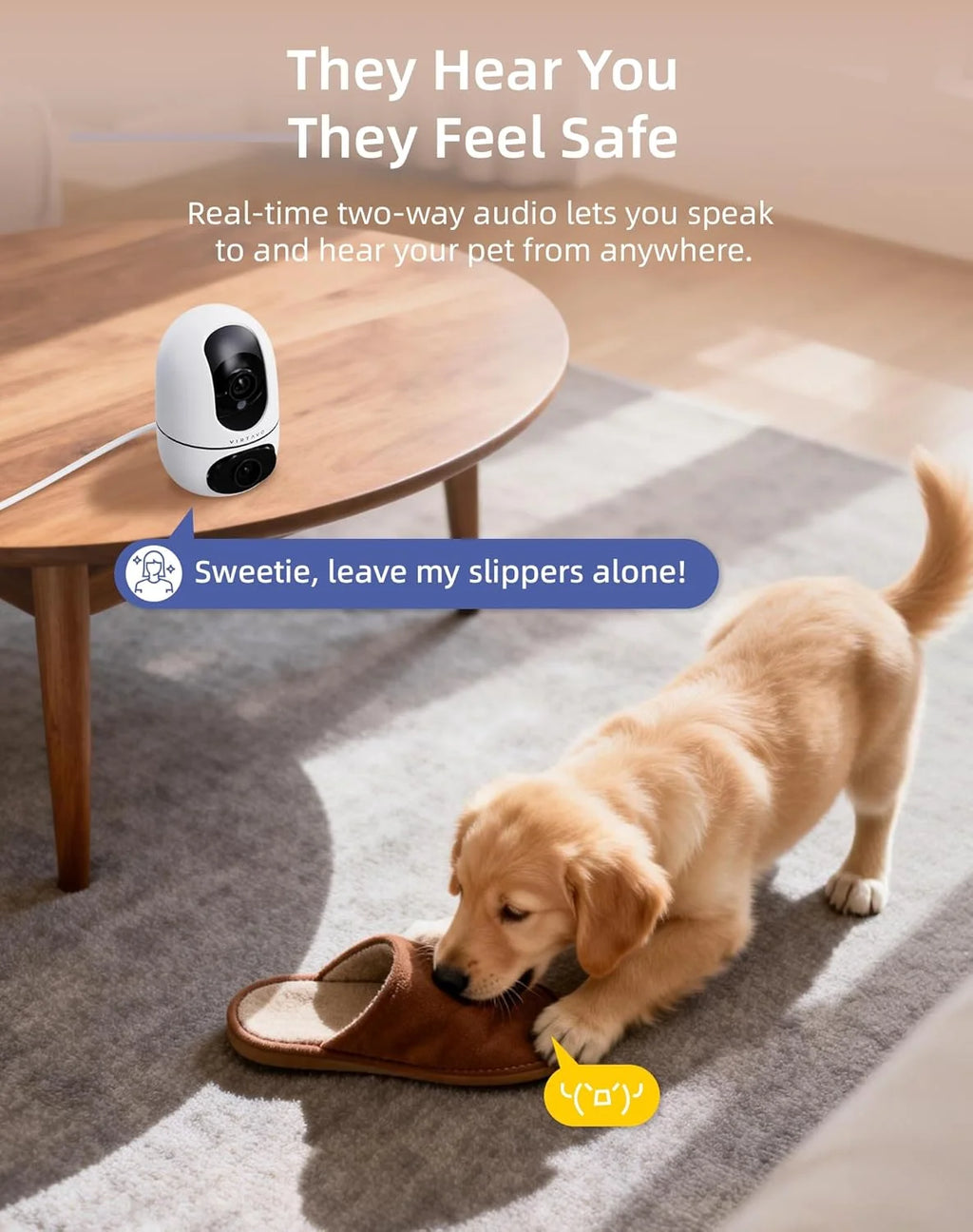 PawPulse pet camera 360 degree pan tilt zoom remote control via mobile app