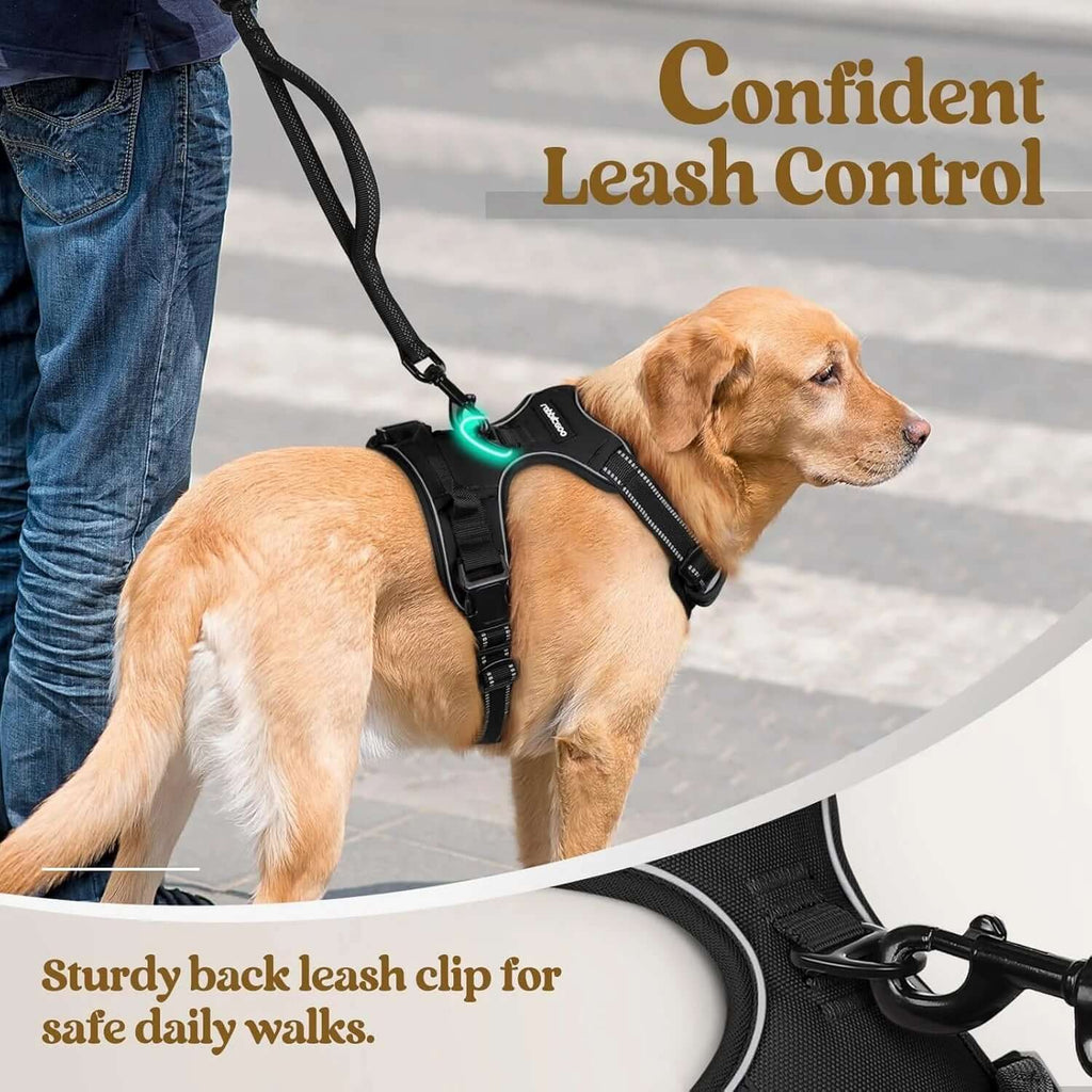 PawPulse dog harness reflective stitching keeps dogs visible at night