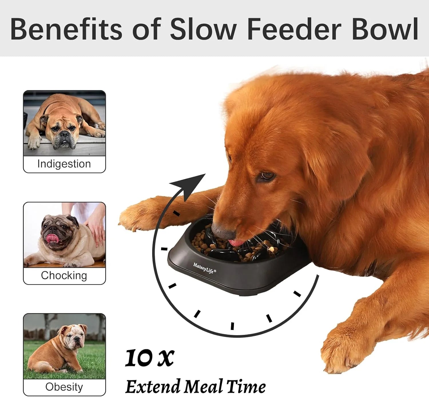 PawPulse maze bowl slows fast eaters by up to 10x healthy digestion